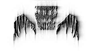 Icon 3